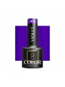 OCHO NAILS gellak violet 404 -5 gr