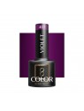 OCHO NAILS gellak violet 407 -5 gr