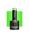 OCHO NAILS Fluo Gellak F02 -5 gr