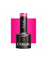 OCHO NAILS Fluo Gellak F06 -5 gr