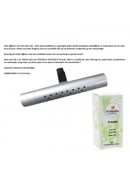 Auto Diffuser met Olie Automix